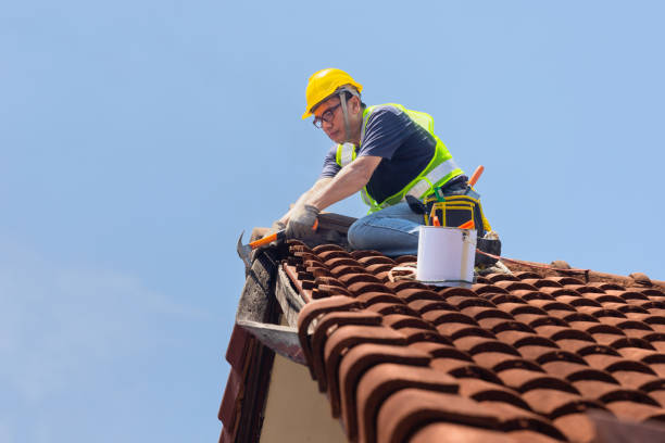 Best Gutter Replacement  in Richland, MO